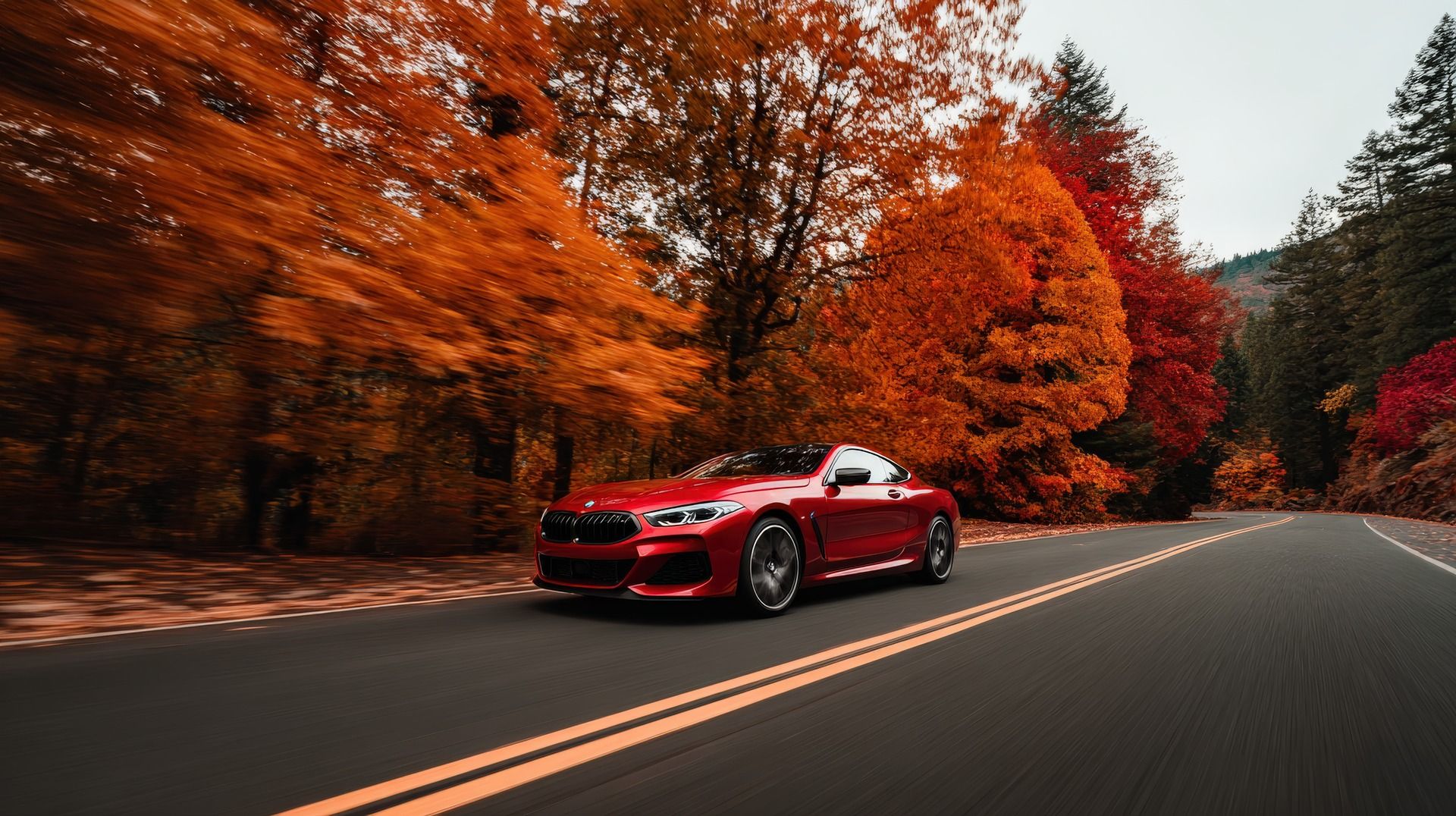 What You Might Not Know About the BMW M8