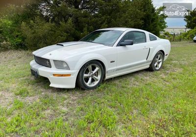 2007 Ford Mustang Gt 1ZVHT82HX75304300 photo 1