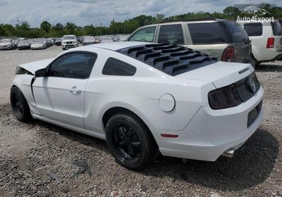 2014 Ford Mustang 1ZVBP8AM2E5220932 photo 1