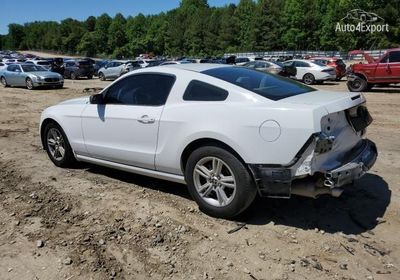 2014 Ford Mustang 1ZVBP8AM1E5251699 photo 1