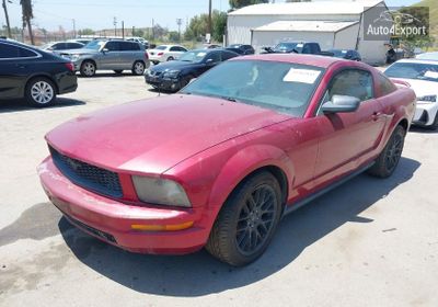 2006 Ford Mustang V6 1ZVFT80N665245826 photo 1