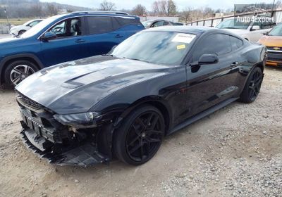 1FA6P8TH2K5203490 2019 Ford Mustang Ecoboost photo 1