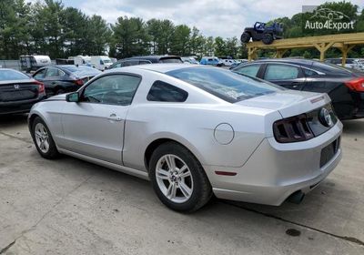 2014 Ford Mustang 1ZVBP8AM0E5206513 photo 1