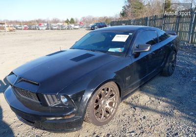 1ZVHT82H885144676 2008 Ford Mustang Gt Deluxe/Gt Premium photo 1