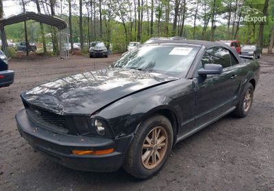 2005 Ford Mustang 1ZVFT84N655238108 photo 1