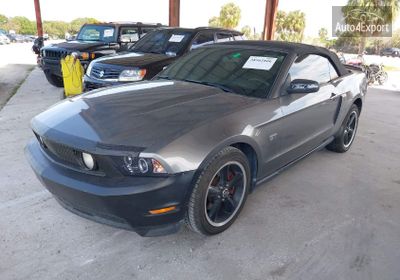 2010 Ford Mustang Gt/Gt Premium 1ZVBP8FH5A5159839 photo 1