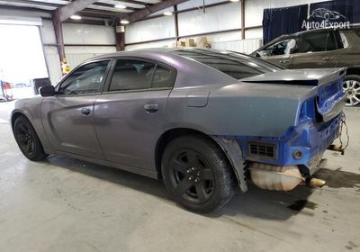 2014 Dodge Charger Po 2C3CDXAT5EH347995 photo 1