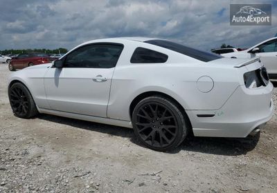2014 Ford Mustang 1ZVBP8AM0E5300391 photo 1
