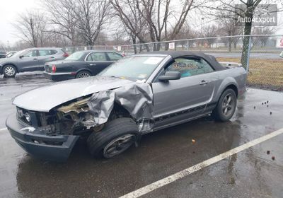 1ZVFT84N665207541 2006 Ford Mustang V6 photo 1