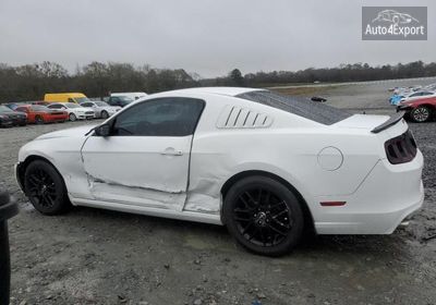 2014 Ford Mustang 1ZVBP8AM9E5314872 photo 1