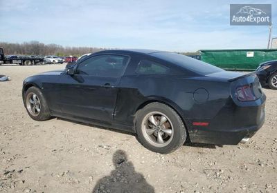 2013 Ford Mustang 1ZVBP8AMXD5265812 photo 1