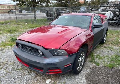 2013 Ford Mustang Gt 1ZVBP8CFXD5209920 photo 1