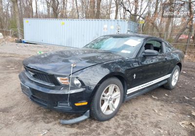 2012 Ford Mustang V6 1ZVBP8AMXC5239919 photo 1