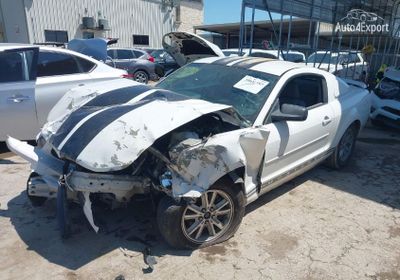 1ZVFT80N365201931 2006 Ford Mustang V6 photo 1